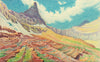 Montana's Remote Glaciers Through the...
