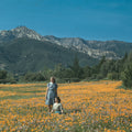 Hyper SoCal Photography Exhibition at...