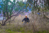 Indigenous Fire Practices Explored Through...