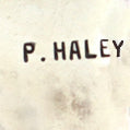 Haley, Paul (Navajo)
