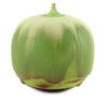 Rose Cabat (1914-2015) - Green...