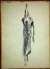 SOLD Frederic Remington (1861-1909) -...