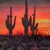 Jill Carver - Saguaro Sunset...