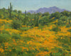 Gregory Hull - Superbloom 2023...
