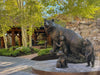 Grizzly 399 Monument Unveiled at...