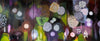 Jody Guralnick's lichen paintings bring...