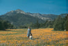 Hyper SoCal Photography Exhibition at...
