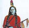 Bierstadt to Warhol: Native Americans...