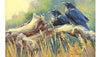 October 23rd, 2026 NEW WORKS:...
