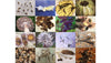 Moira Marti Geoffrion: Venice Biennale...
