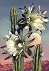 SOLD Whitney Gardner - My...