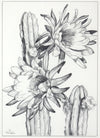 SOLD Whitney Gardner - Favorite...