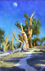 Jordan K. Walker - Bristlecone Moon