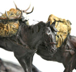 Fred Fellows, CAA - Down from the High Country