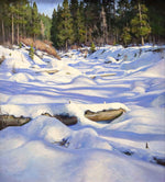 Josh Elliott - In Between Winter and Spring