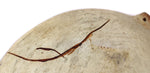 Nampeyo of Hano (1859-1942) - Hopi Polychrome Bowl c. 1905, 2.625" x 10"