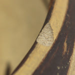 Nampeyo of Hano (1856-1942) - Hopi Polychrome Bowl c. 1910-20s, 3.25" x 11.25"