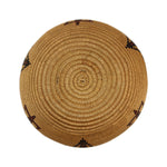 Washoe Polychrome Basket with Butterfly Pictorials c. 1910s, 4.75" x 7.75"