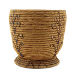 Thompson River Polychrome Pictorial Basket c. 1900-20s, 7.25" x 7.5"