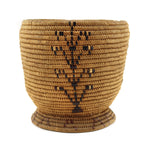 Thompson River Polychrome Pictorial Basket c. 1900-20s, 7.25" x 7.5"