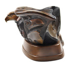 Doug Hyde - People of the Red Tail Hawk, 10/35