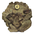 Star Liana York - Life Eternal, Edition of 35