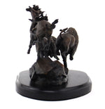 Star Liana York - Last Arrow, Edition of 35