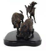 Star Liana York - Last Arrow, Edition of 35