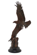 Star Liana York - Solo, Edition of 25