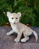 Star Liana York - "Ready" Cougar Cub, Edition of 50