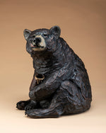 Star Liana York - Honey Bear, Edition of 50