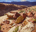 Josh Elliott - Rock Garden, Vermillion Cliffs
