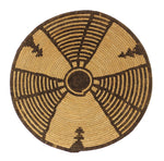 Apache Basket c. 1900s, 3.625" x 12.25"