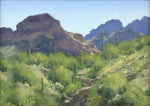 Matt Smith - Salt River Draw