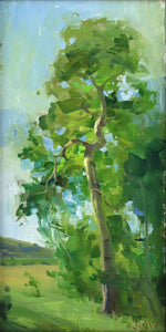 Jordan K. Walker - Aspirational Aspen