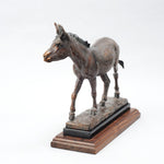 Veryl Goodnight, NSS - Radar - CUSTOM ORDER PLEASE CALL FOR PRODUCTION TIME AND AVAILABILITY