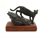 Mark Rossi - Mountain Lion Walking Down Rock Formation