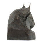 Mark Rossi - Bobcat Portrait, Edition 15/20