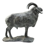 Mark Rossi - Churro Ram 5/20