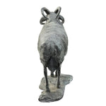 Mark Rossi - Churro Ram 5/20