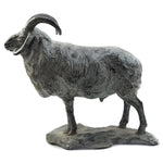 Mark Rossi - Churro Ram 5/20