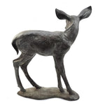 Mark Rossi - White-tail Fawn (male) 8/24