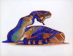 Dennis Ziemienski - Diamondback