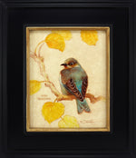 Ezra Tucker - Mountain Bluebird (F)