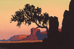 Billy Schenck - Utah Landscape #20