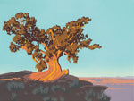 Billy Schenck - Juniper Above Canyon Country