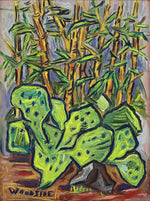 James Woodside - Garden in Silver City, New Mexico