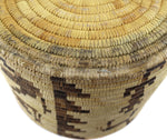 Large Tohono O'odham Lidded Pictorial Basket with Animals and Whirling Logs c. 1930-40s, 11.5" x 16.5"