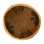 Washoe Basket c. 1900-20s, 3" x 6"