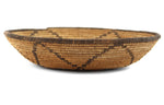 White Mountain Apache Basket with Flower Design c. 1900-20s, 2" x 9.5"